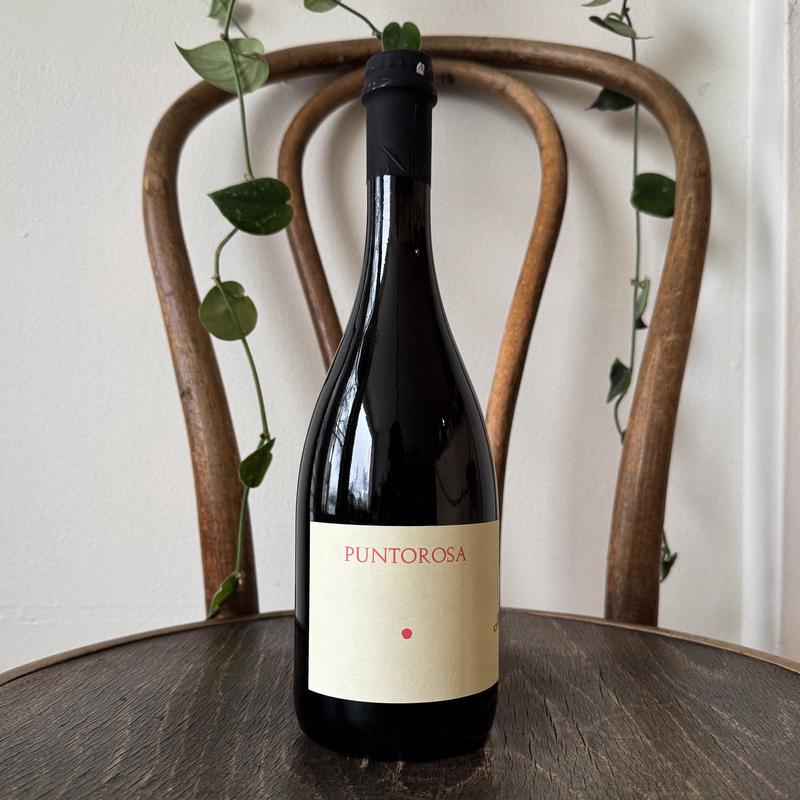 Podere Sottoilnoce Puntarosa