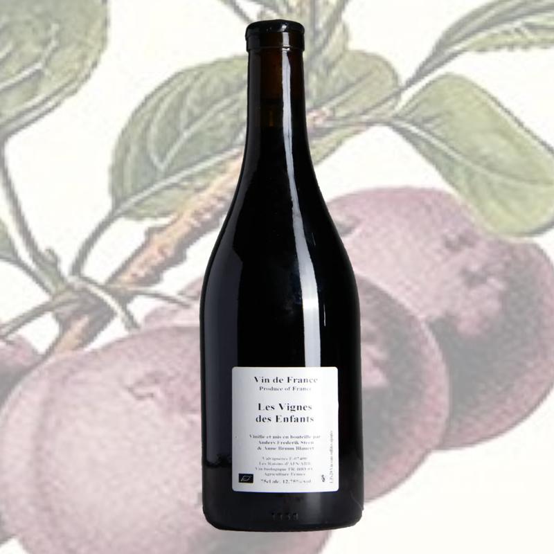 \"Les Vignes des Enfants\" 2019