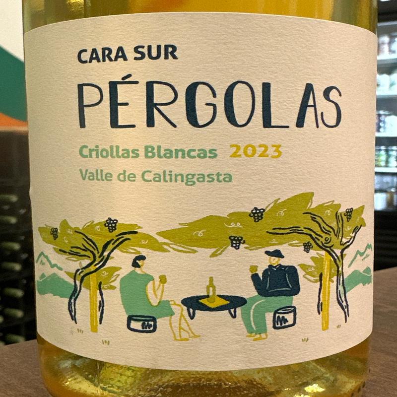 Cara Sur Pergolas Blancos