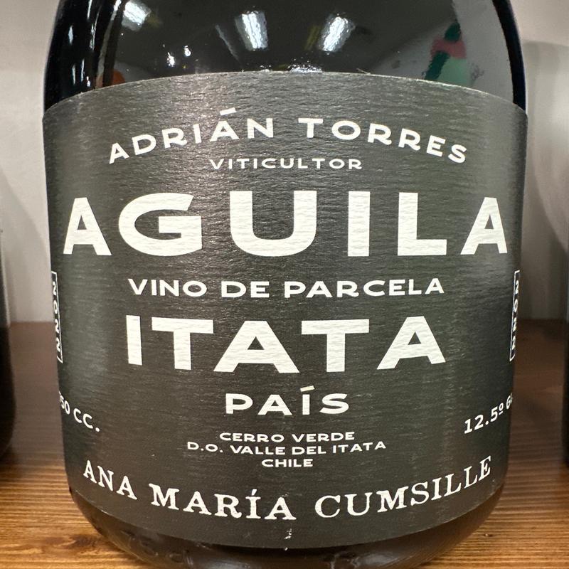 Ana Maria Cumsille Aguila Pais